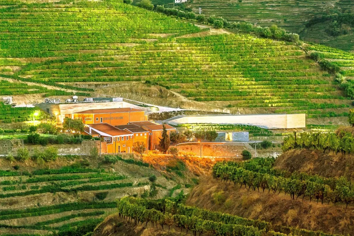 Quinta do Vallado Wine Hotel - Imagem 43