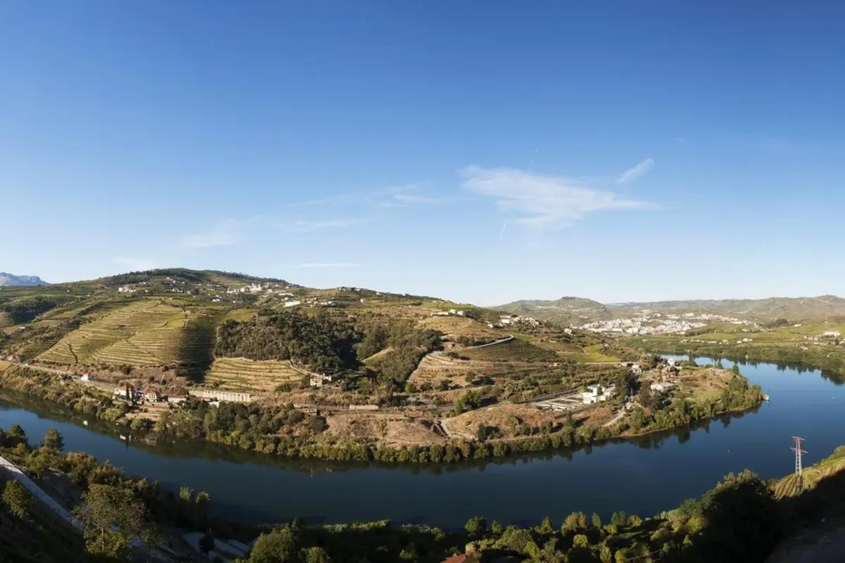 Quinta do Vallado Wine Hotel - Imagem 64