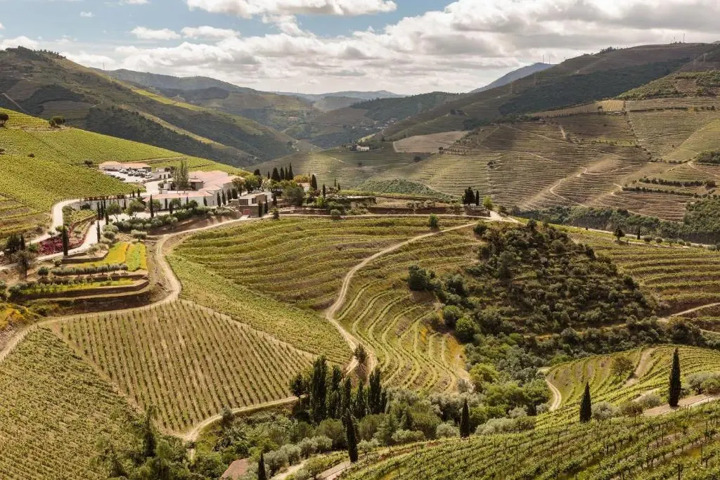 Quinta Nova Winery House - Imagem 2