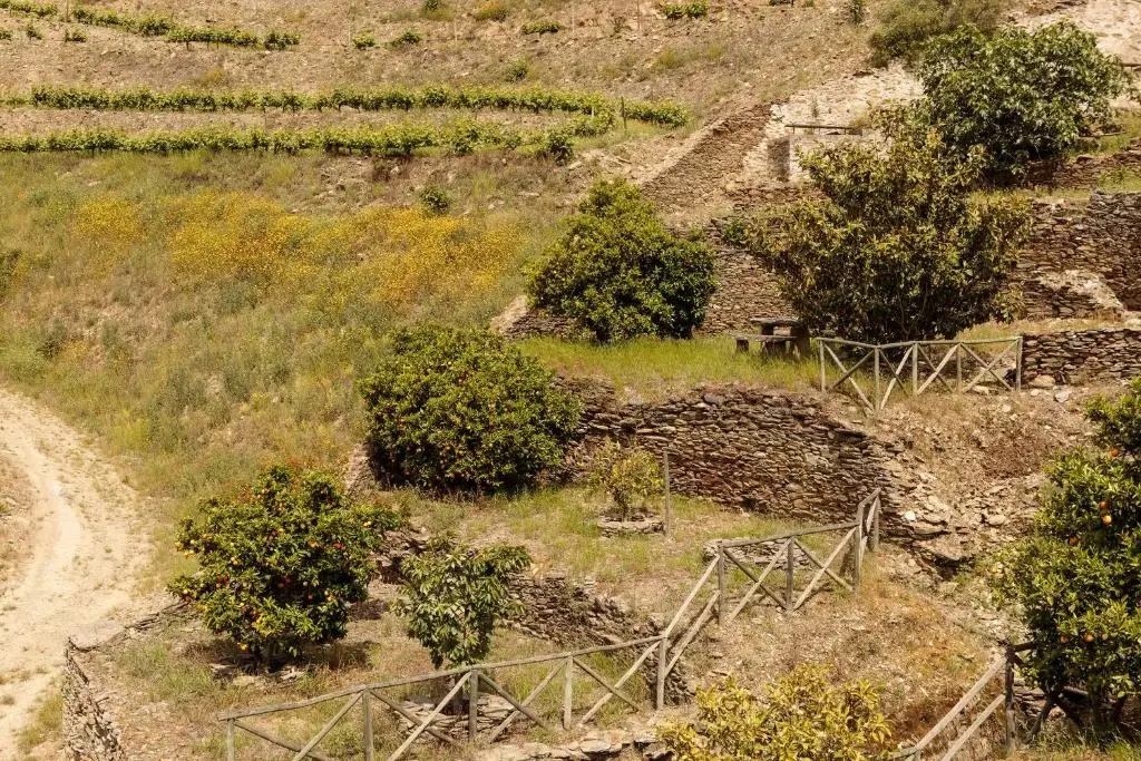 Quinta Nova Winery House - Imagem 17