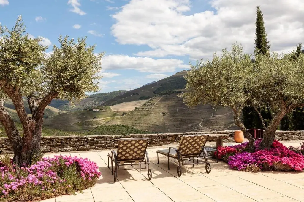 Quinta Nova Winery House - Imagem 4