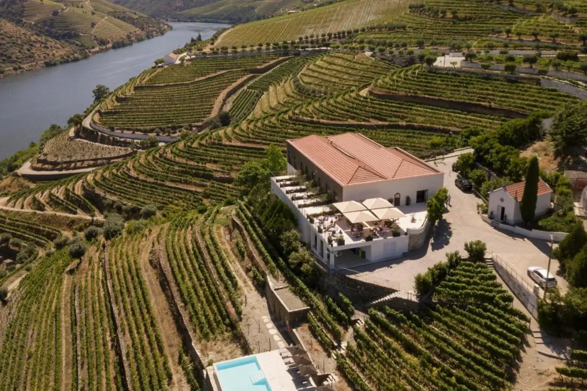 Discover the Charm of Quinta São Luiz The Vine House Douro - Imagem 21