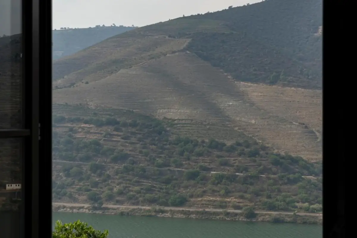 Discover the Charm of Quinta São Luiz The Vine House Douro - Imagem 33