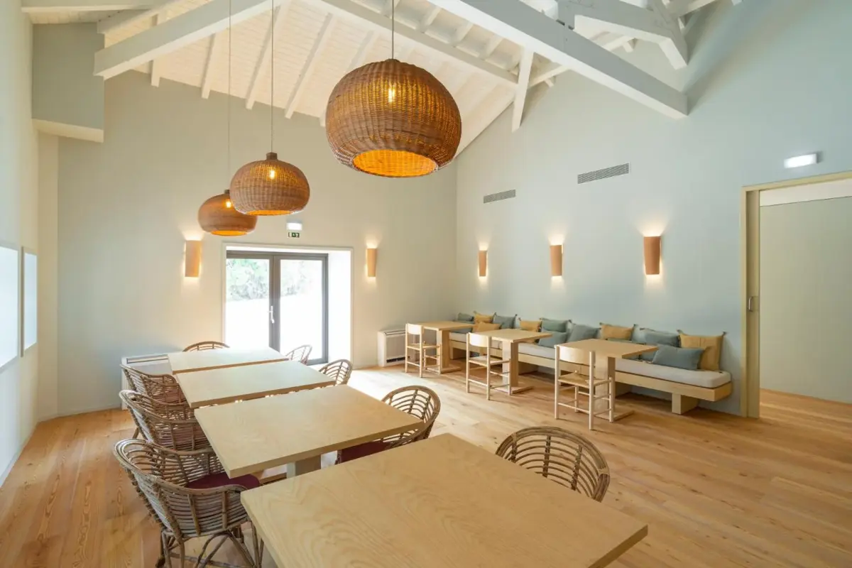 Discover the Charm of Quinta São Luiz The Vine House Douro - Imagem 48