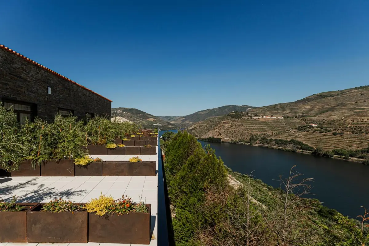 Discover the Charm of Quinta São Luiz The Vine House Douro - Imagem 75