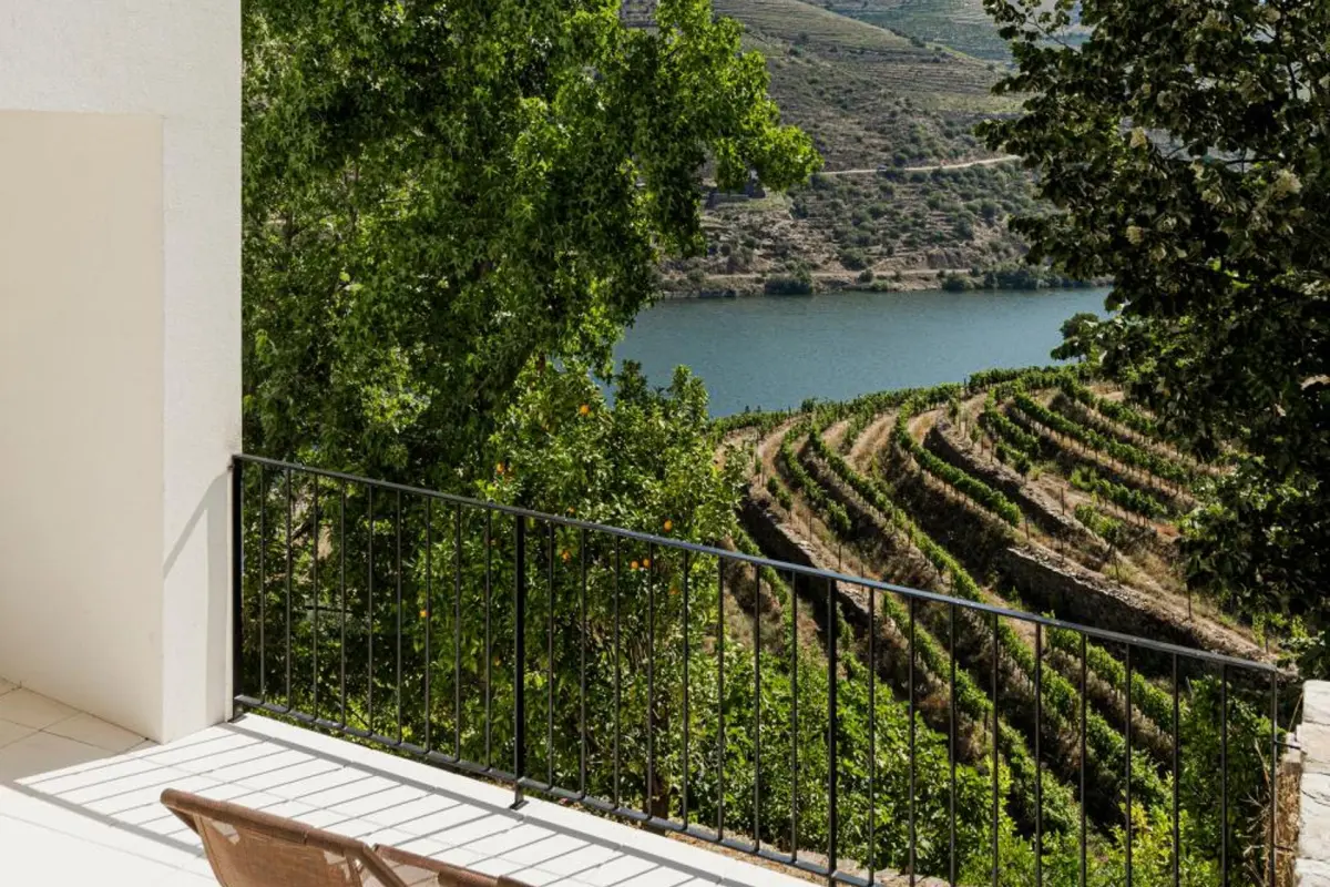 Discover the Charm of Quinta São Luiz The Vine House Douro - Imagem 81