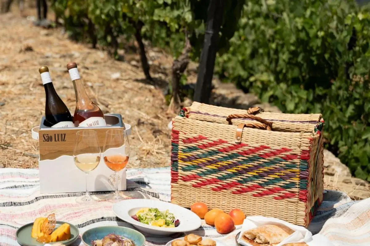 Discover the Charm of Quinta São Luiz The Vine House Douro - Imagem 98