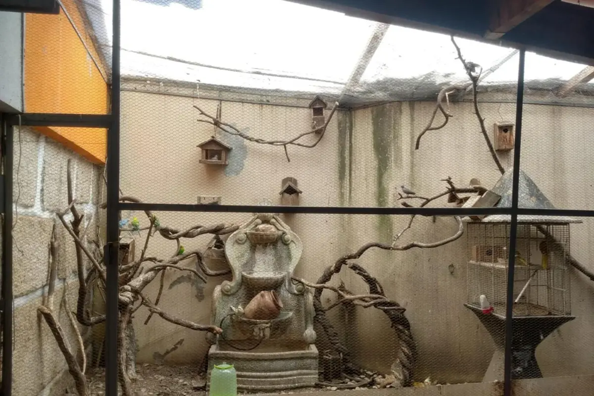 Discover the Montanhas Residential: Comfort and Reliability for Everyone - Imagem 22