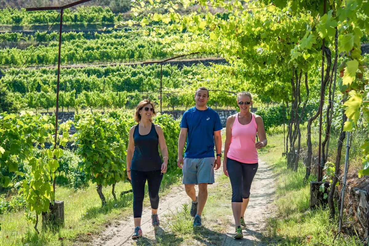 Six Senses Douro Valley - Imagem 36