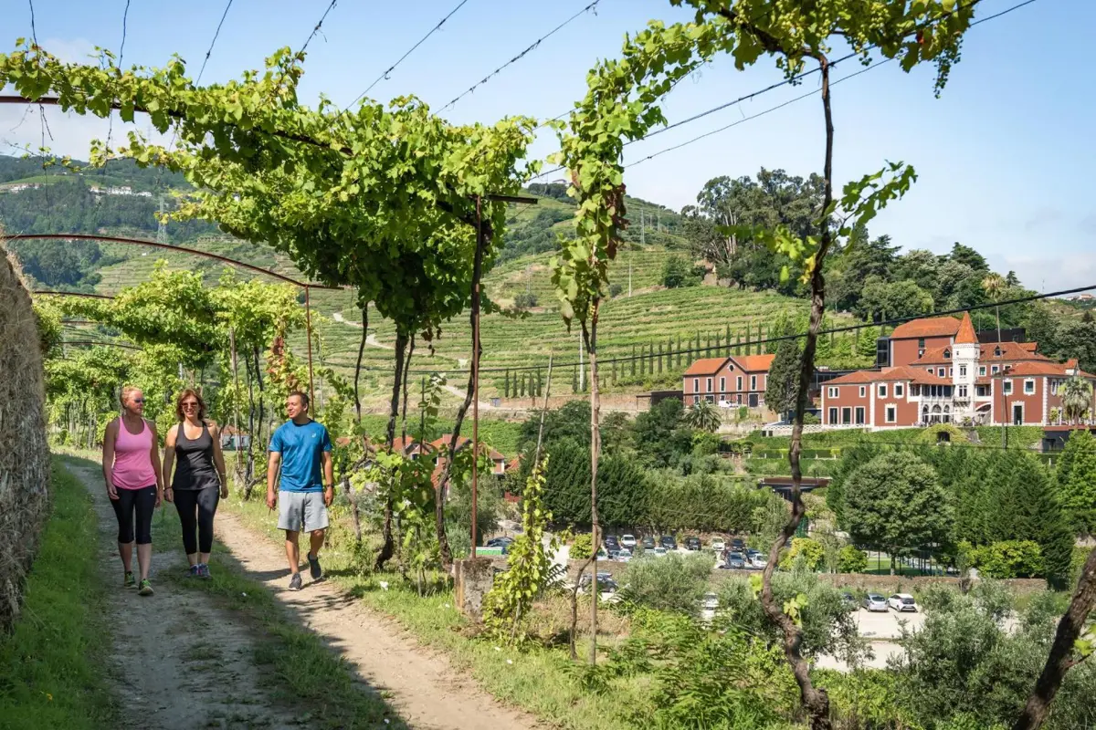 Six Senses Douro Valley - Imagem 50
