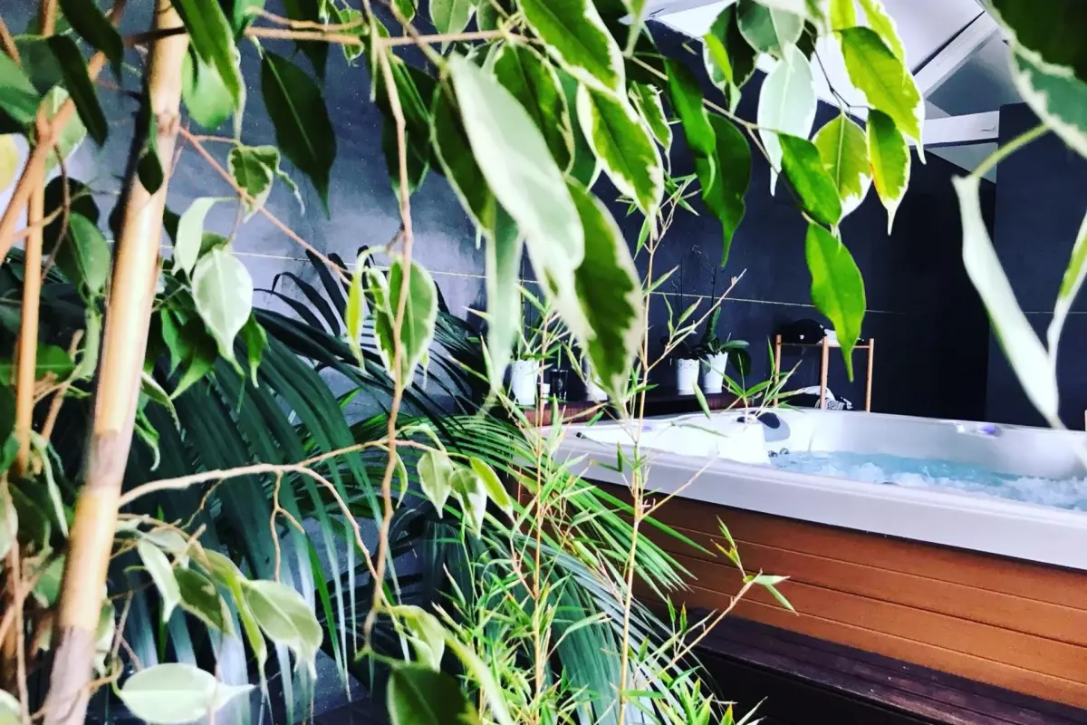 Experience Tranquility at Solar Quinta da Portela - Douro - Imagem 38