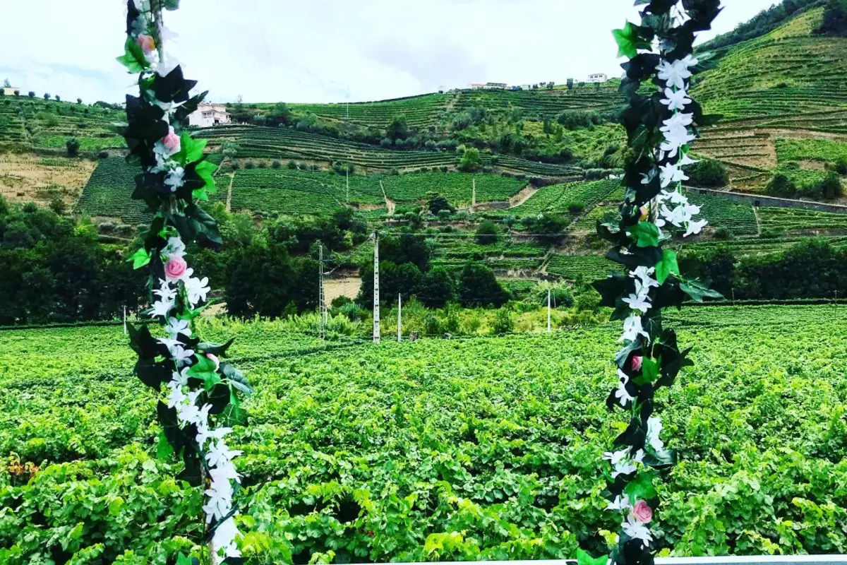 Experience Tranquility at Solar Quinta da Portela - Douro - Imagem 40