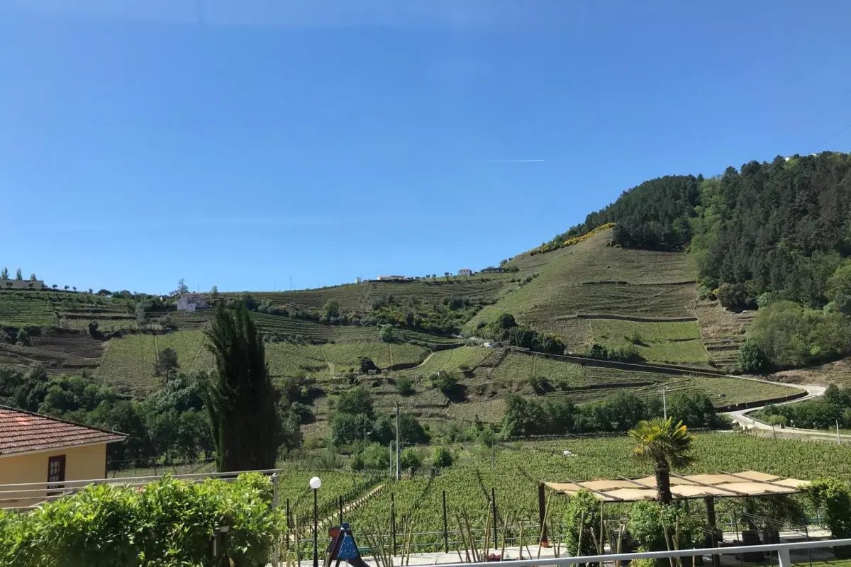 Experience Tranquility at Solar Quinta da Portela - Douro - Imagem 42