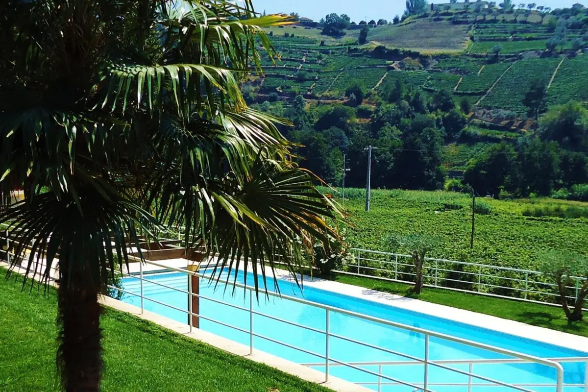 Experience Tranquility at Solar Quinta da Portela - Douro - Imagem 46