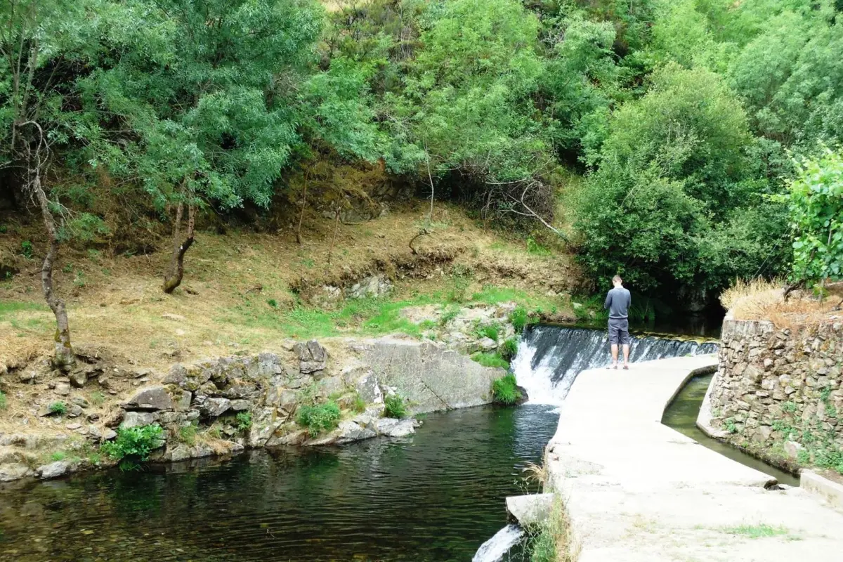 Experience Tranquility at Solar Quinta da Portela - Douro - Imagem 51