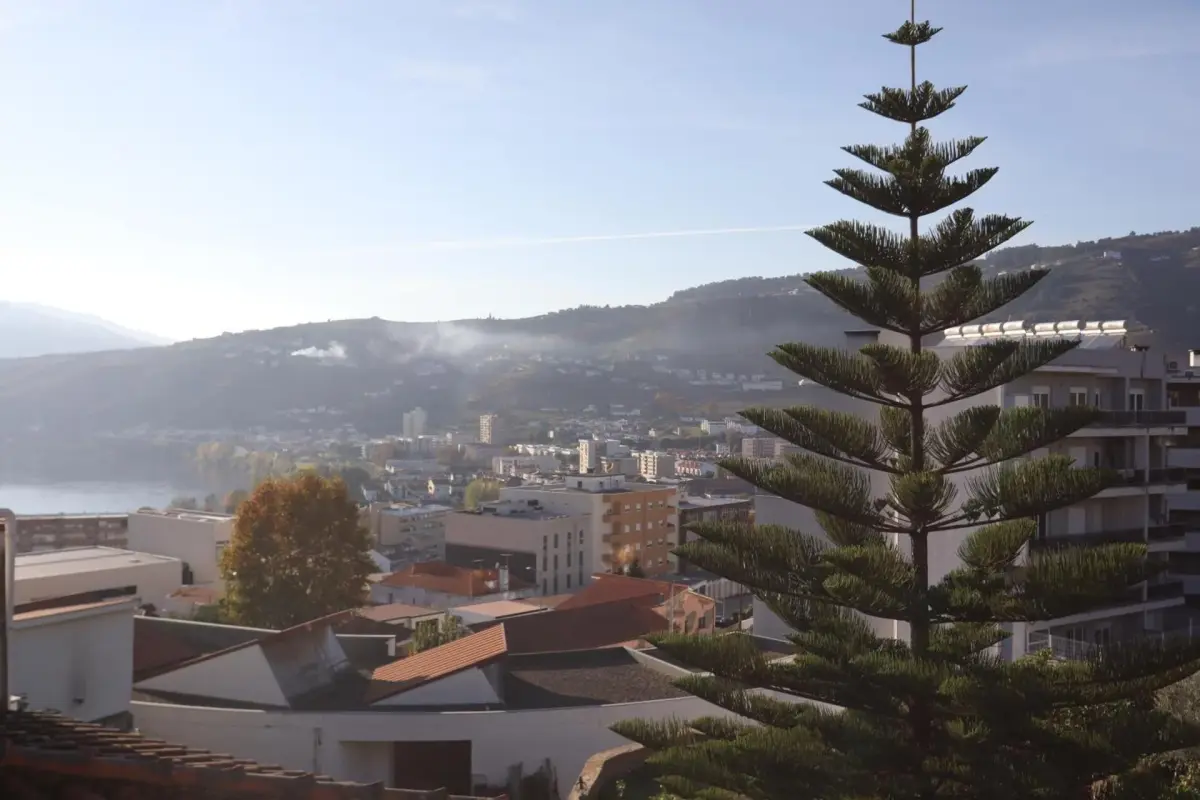 The Pine House - Imagem 46