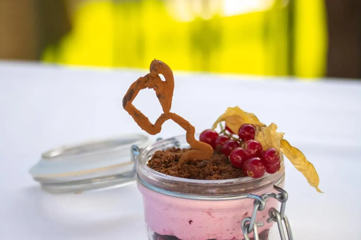 Descubra o Vintage House - Douro: Um Refúgio de Conforto e Elegância - Imagem 41