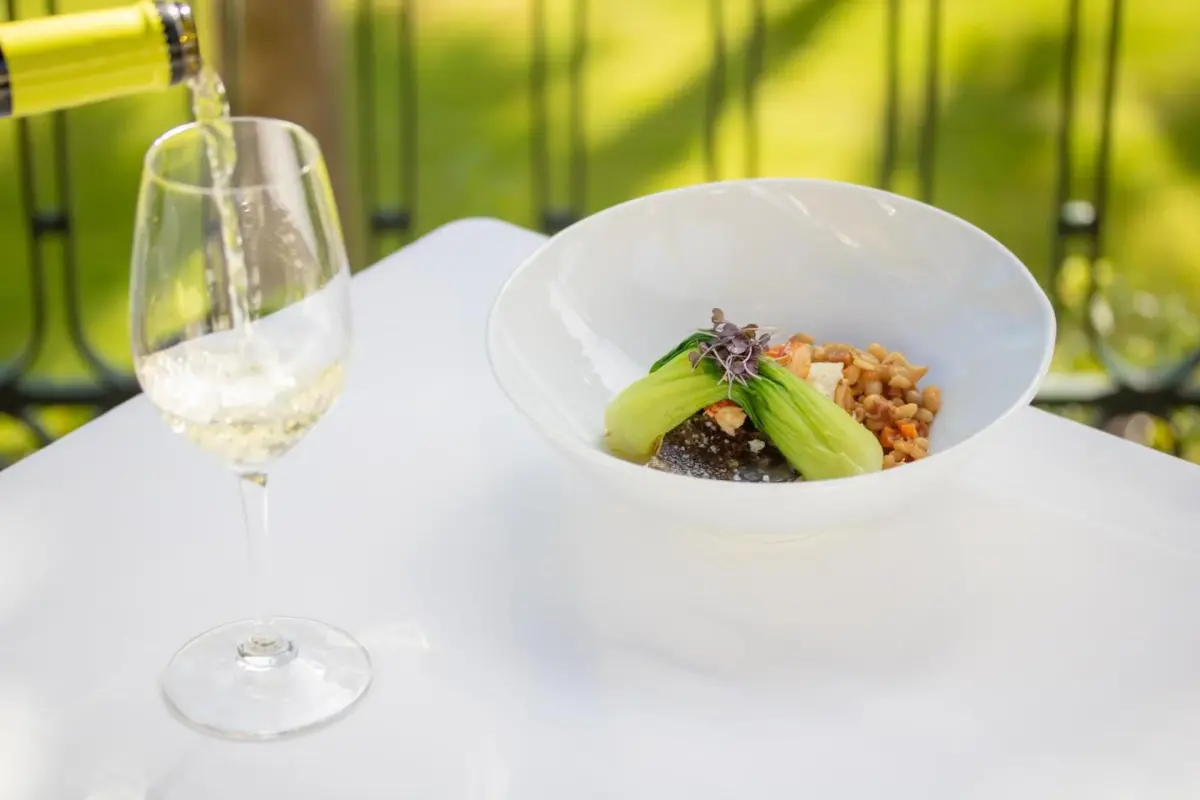 Descubra o Vintage House - Douro: Um Refúgio de Conforto e Elegância - Imagem 47