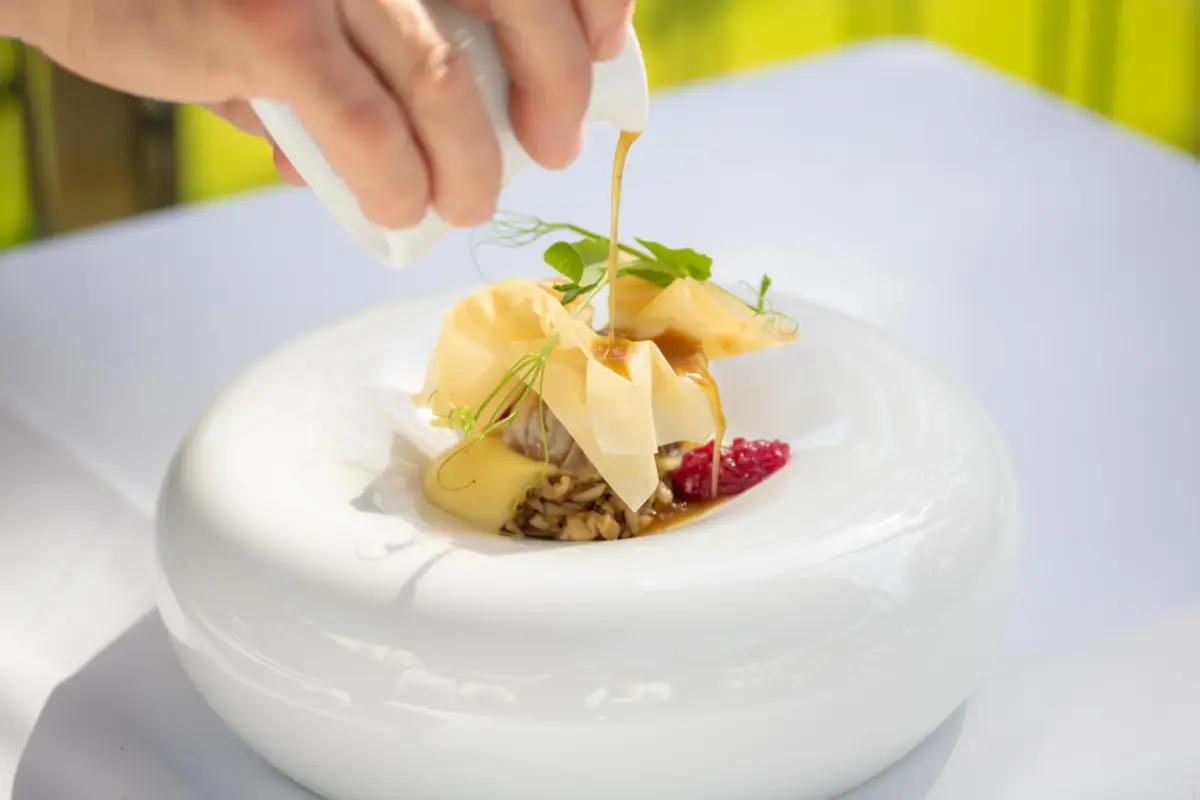 Descubra o Vintage House - Douro: Um Refúgio de Conforto e Elegância - Imagem 51