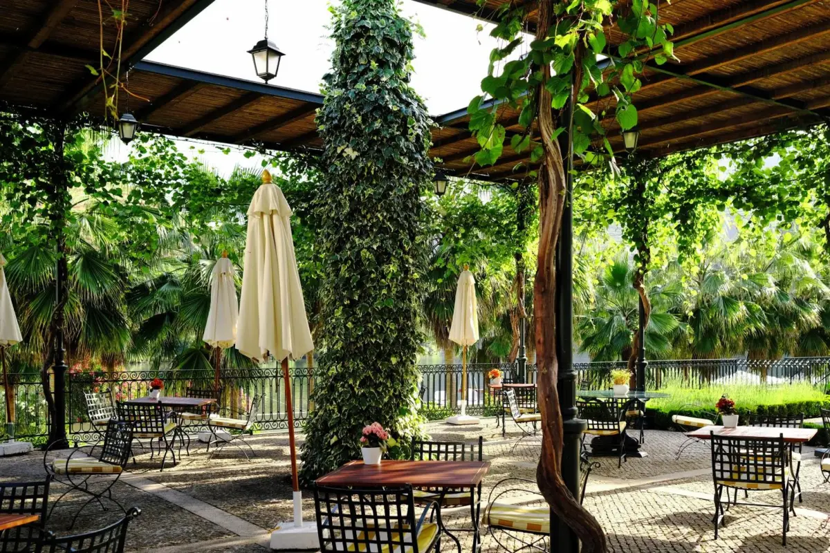 Descubra o Vintage House - Douro: Um Refúgio de Conforto e Elegância - Imagem 67