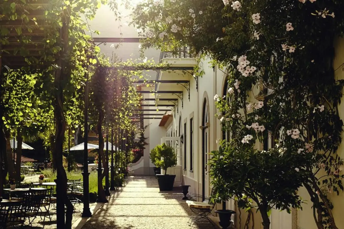 Descubra o Vintage House - Douro: Um Refúgio de Conforto e Elegância - Imagem 69