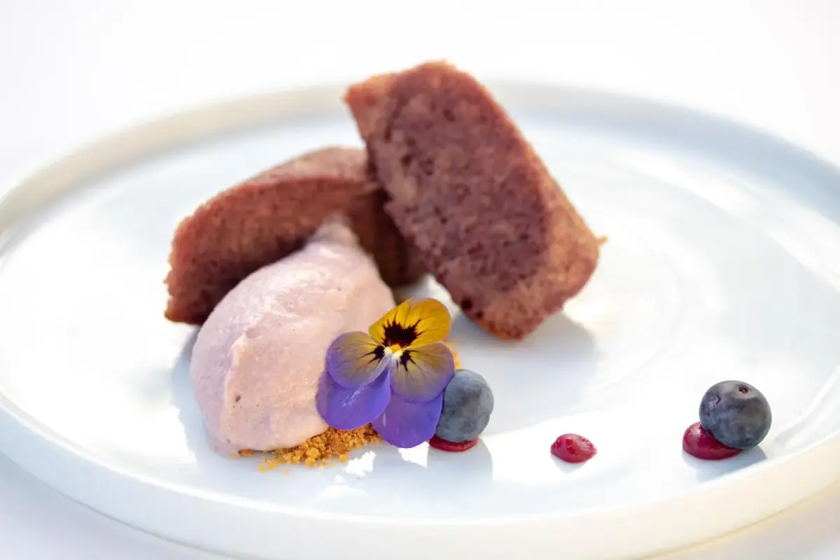 Descubra o Vintage House - Douro: Um Refúgio de Conforto e Elegância - Imagem 82