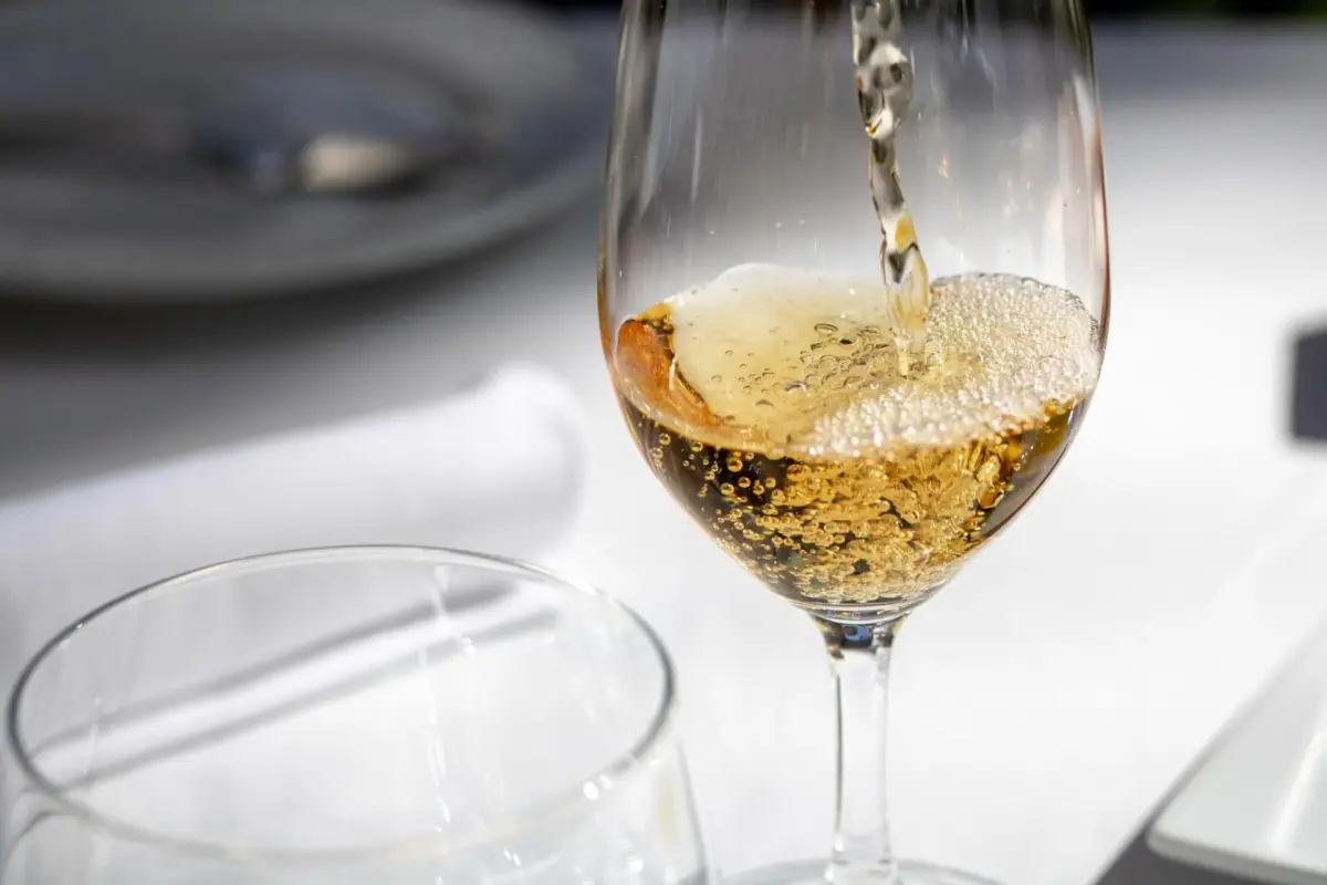 Descubra o Vintage House - Douro: Um Refúgio de Conforto e Elegância - Imagem 96