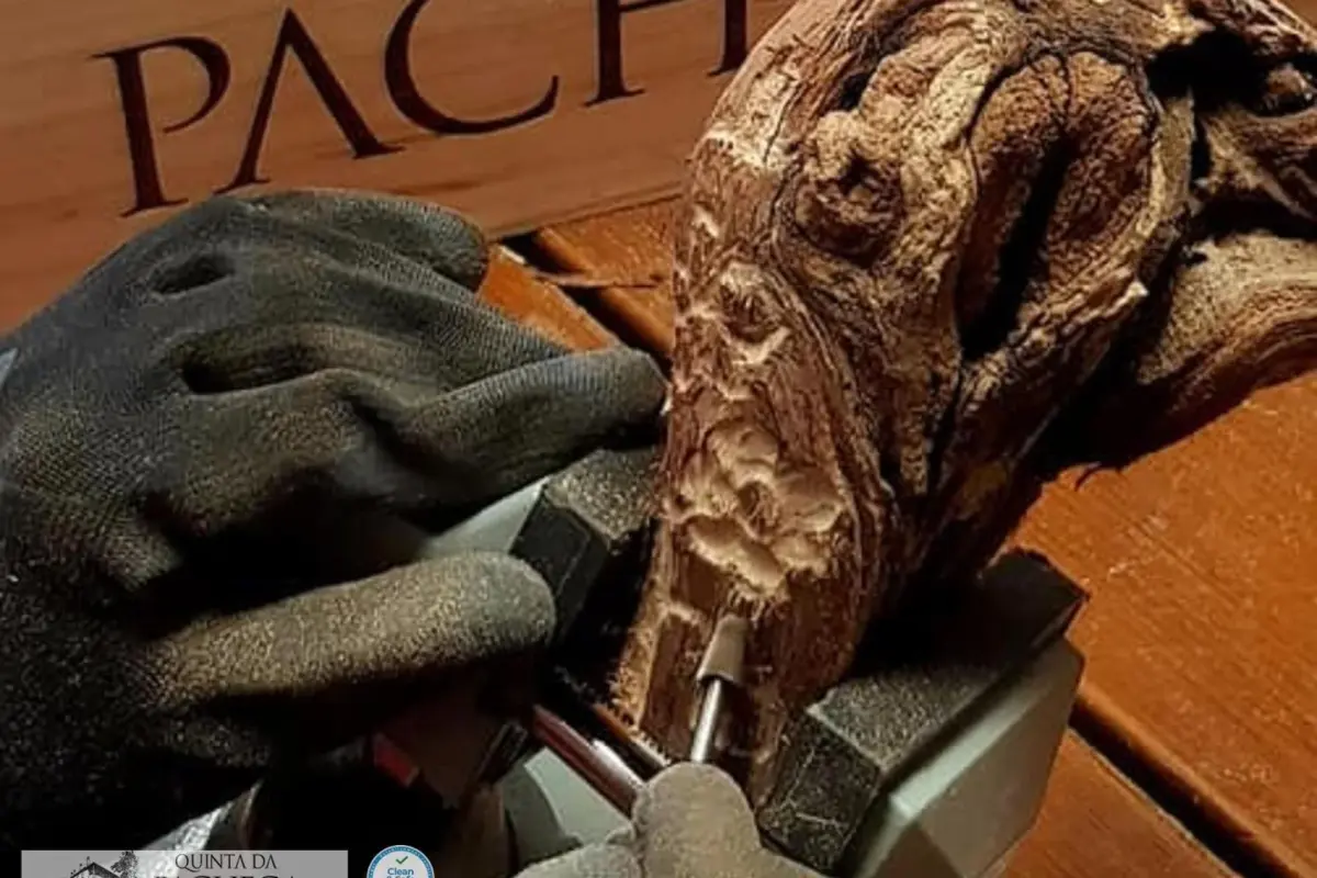 The Discovery of Wine House Hotel - Quinta da Pacheca - Imagem 101