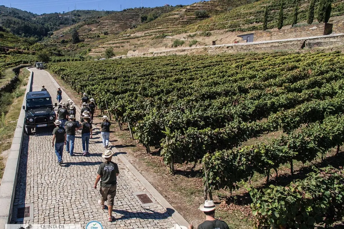 The Discovery of Wine House Hotel - Quinta da Pacheca - Imagem 39