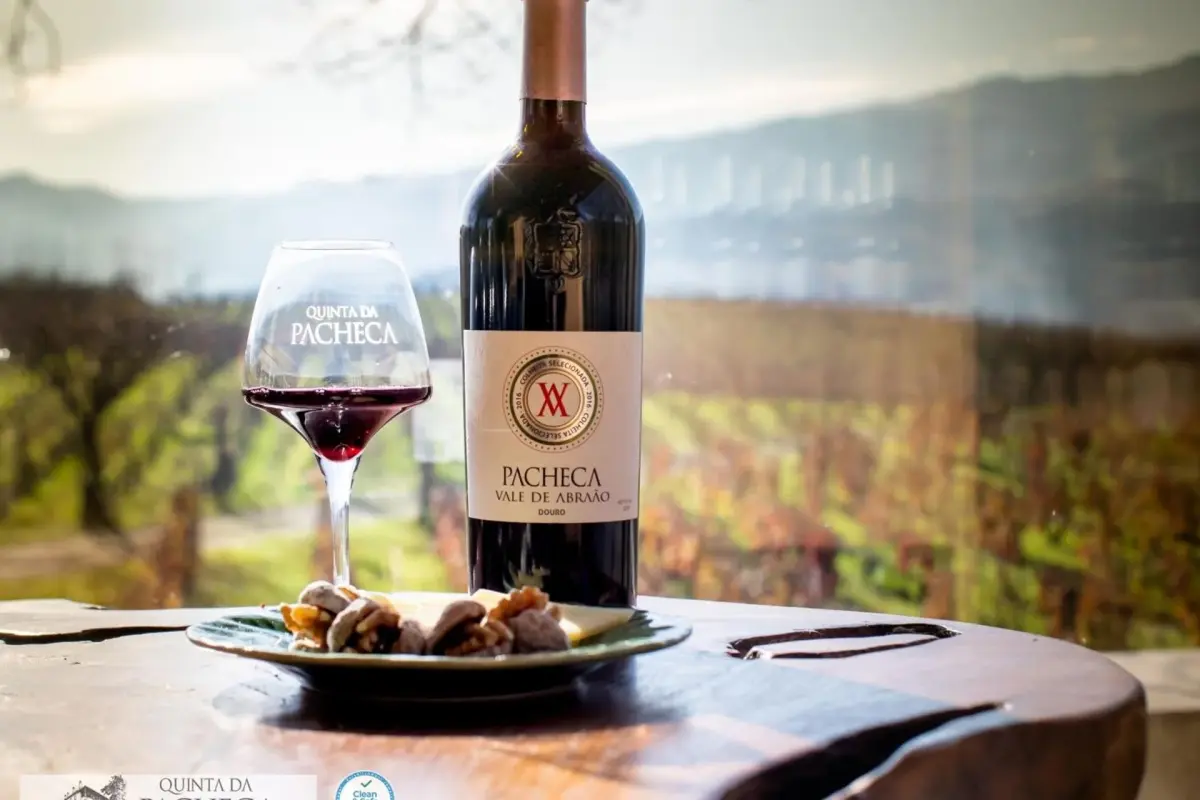 The Discovery of Wine House Hotel - Quinta da Pacheca - Imagem 42