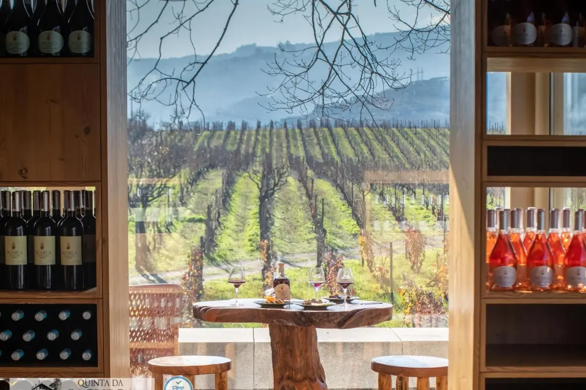 The Discovery of Wine House Hotel - Quinta da Pacheca - Imagem 44