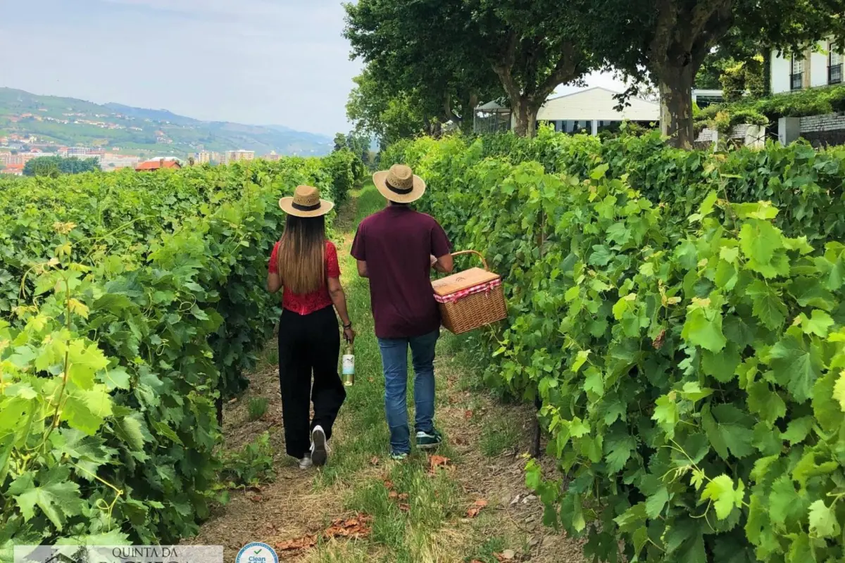 The Discovery of Wine House Hotel - Quinta da Pacheca - Imagem 48