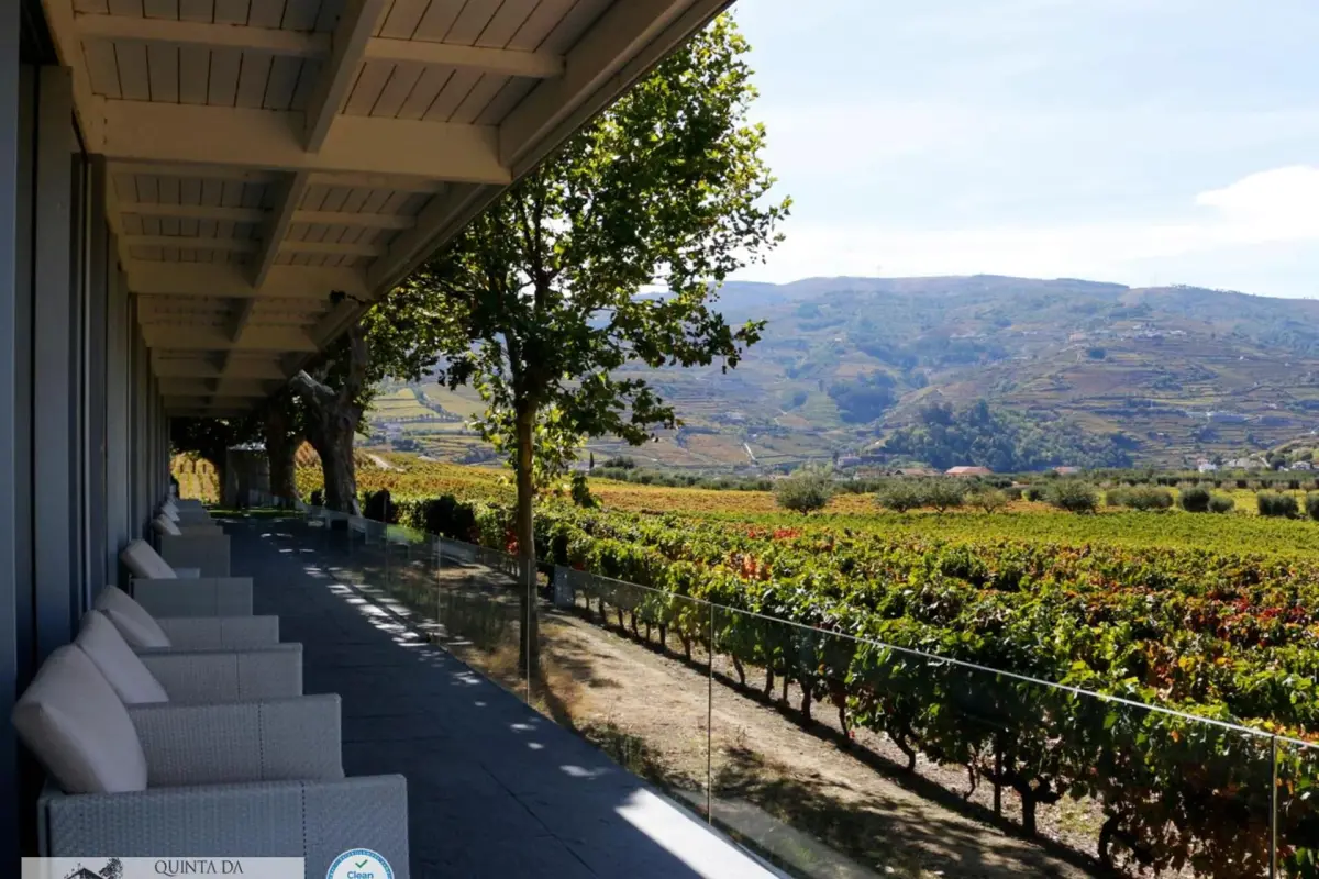 The Discovery of Wine House Hotel - Quinta da Pacheca - Imagem 50