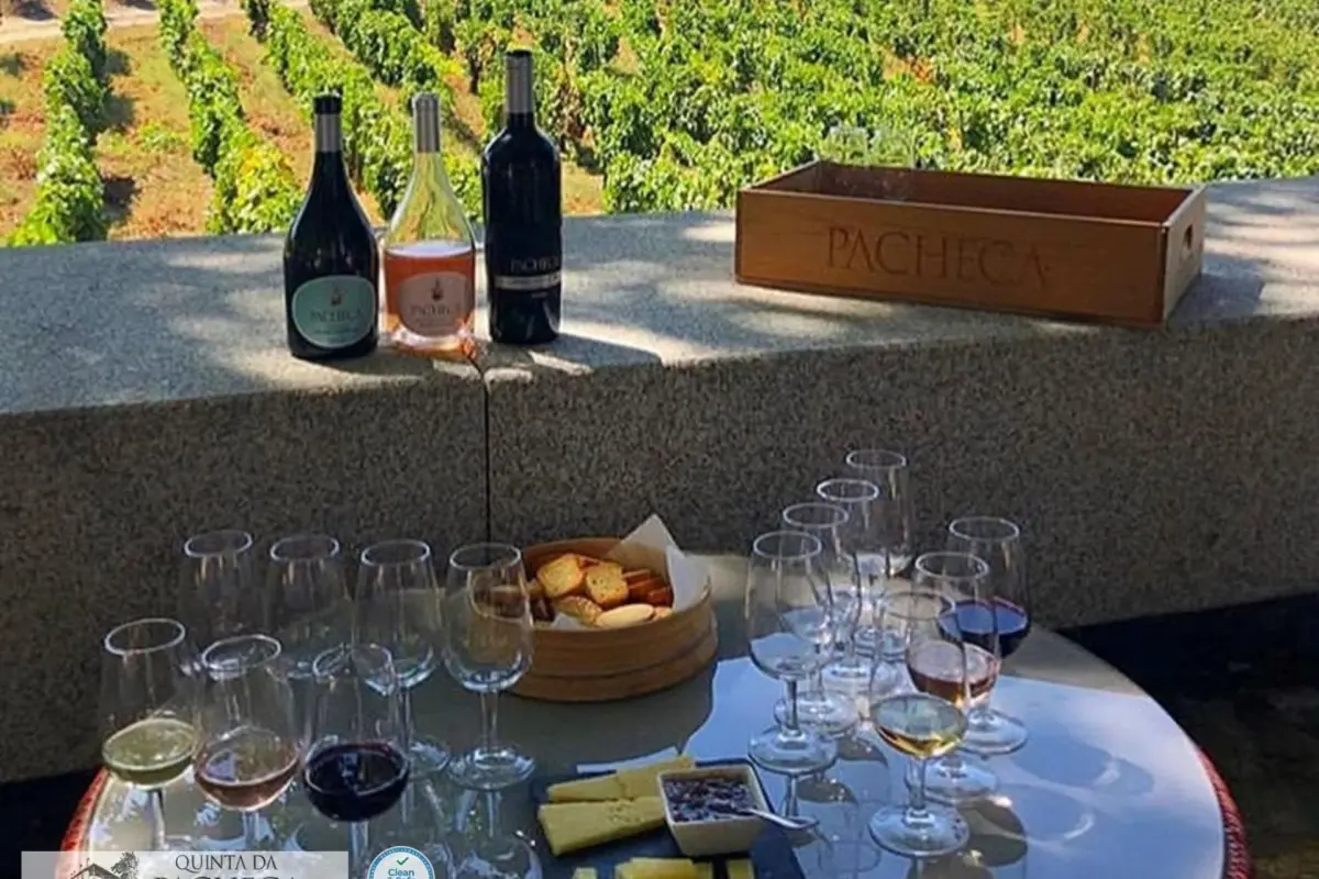 The Discovery of Wine House Hotel - Quinta da Pacheca - Imagem 52