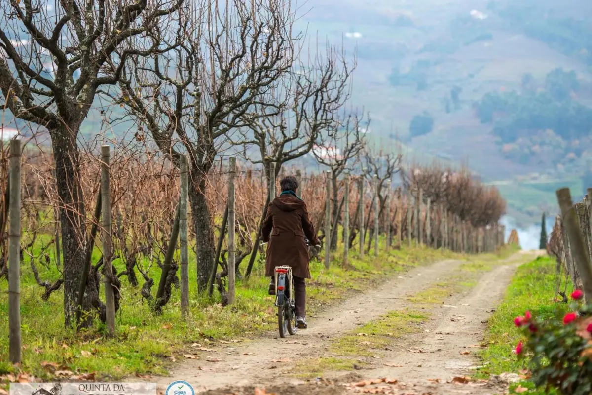 The Discovery of Wine House Hotel - Quinta da Pacheca - Imagem 55