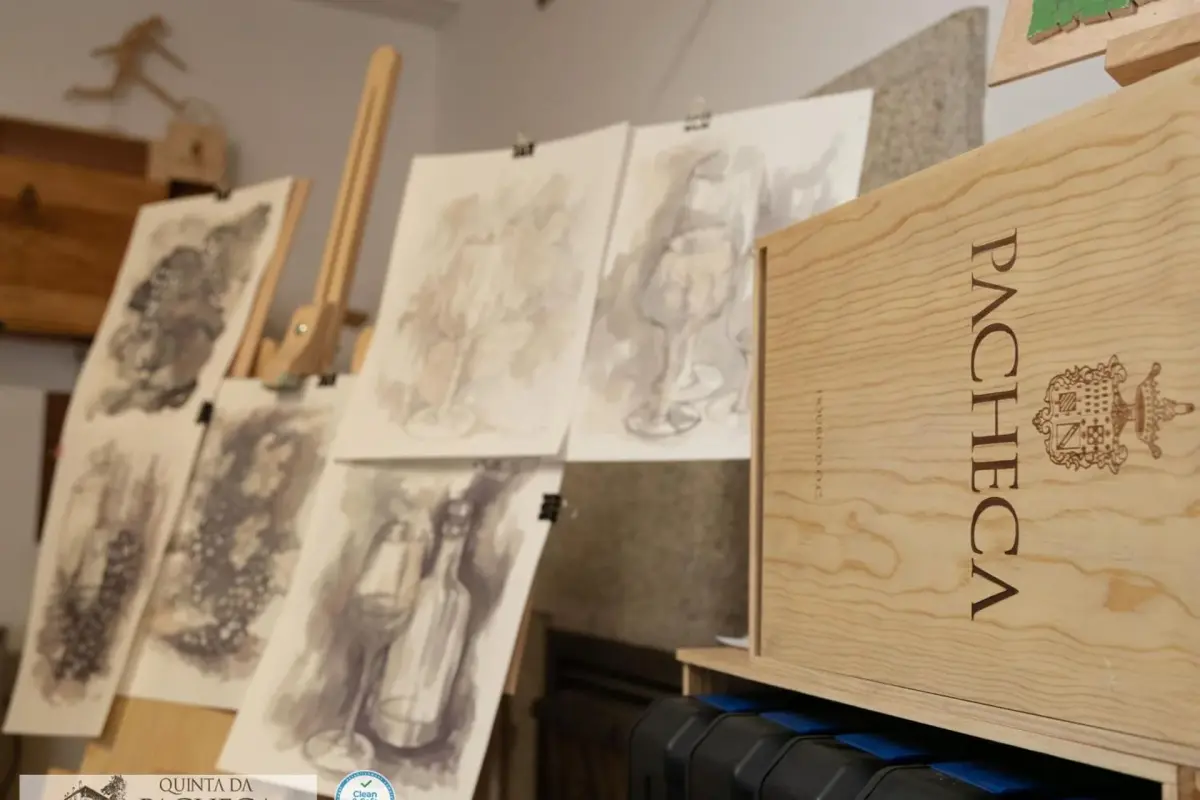 The Discovery of Wine House Hotel - Quinta da Pacheca - Imagem 59