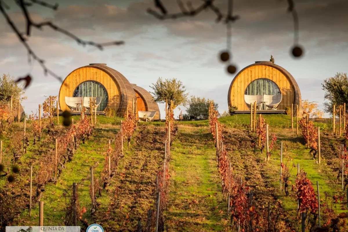 The Discovery of Wine House Hotel - Quinta da Pacheca - Imagem 70