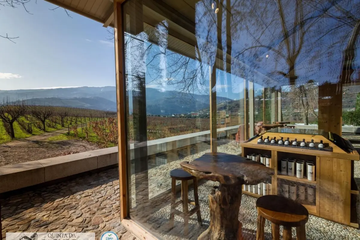 The Discovery of Wine House Hotel - Quinta da Pacheca - Imagem 88