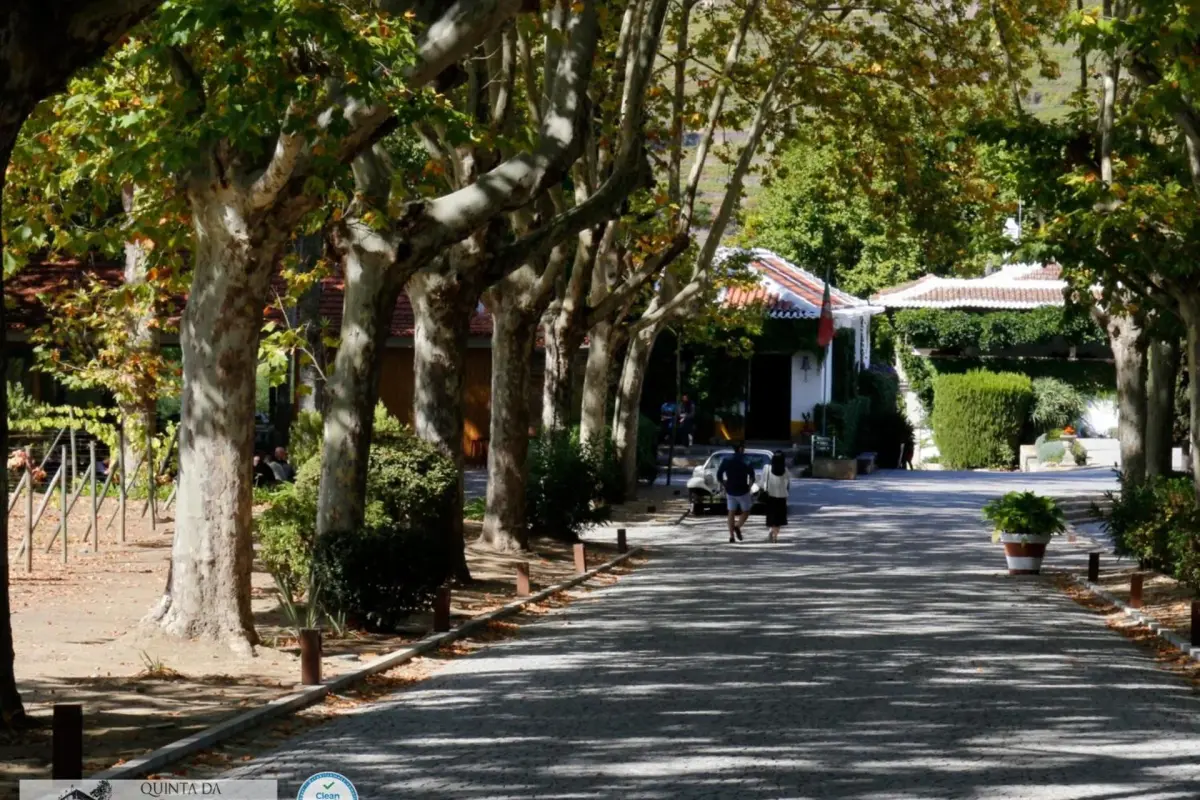 The Discovery of Wine House Hotel - Quinta da Pacheca - Imagem 92