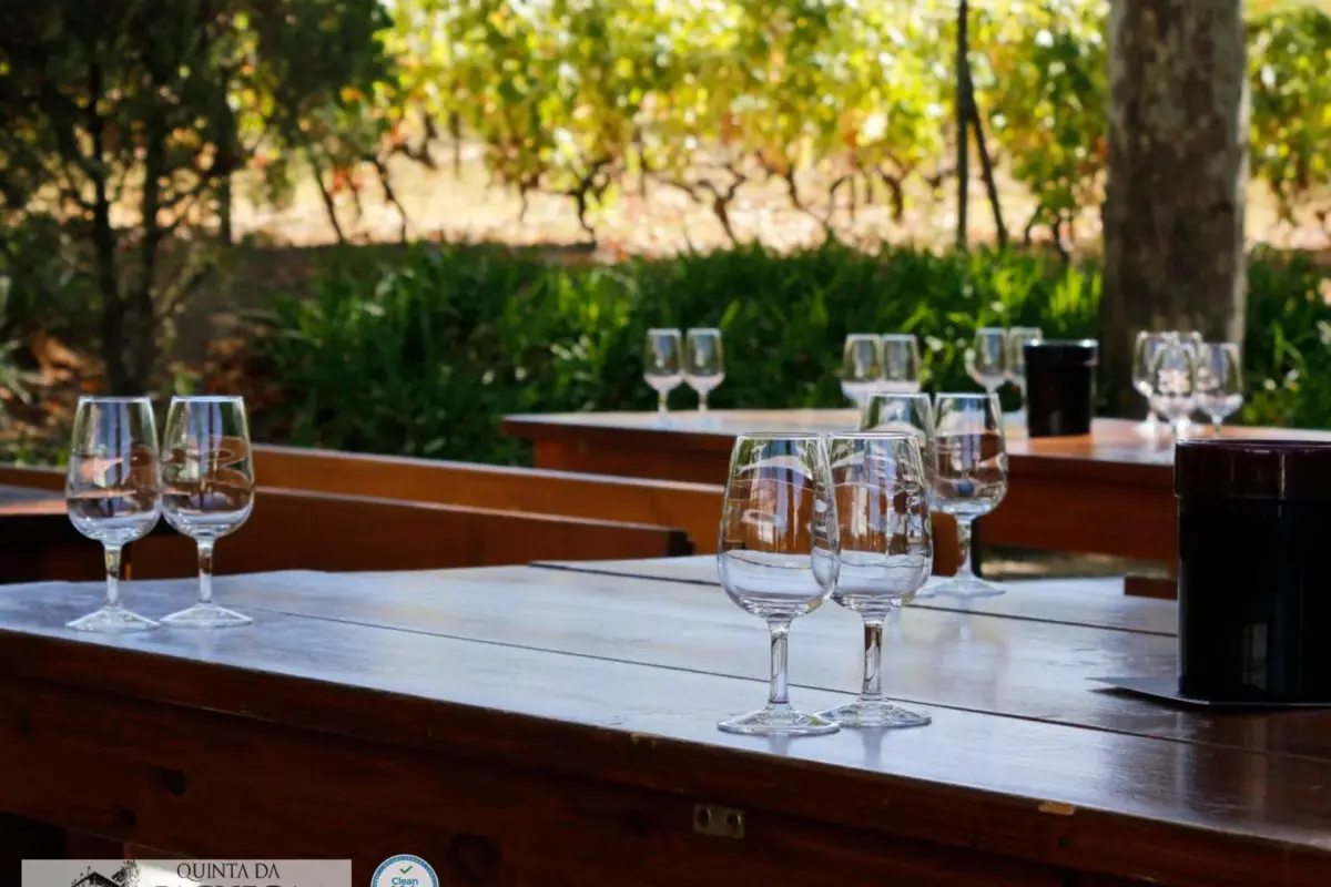 The Discovery of Wine House Hotel - Quinta da Pacheca - Imagem 99