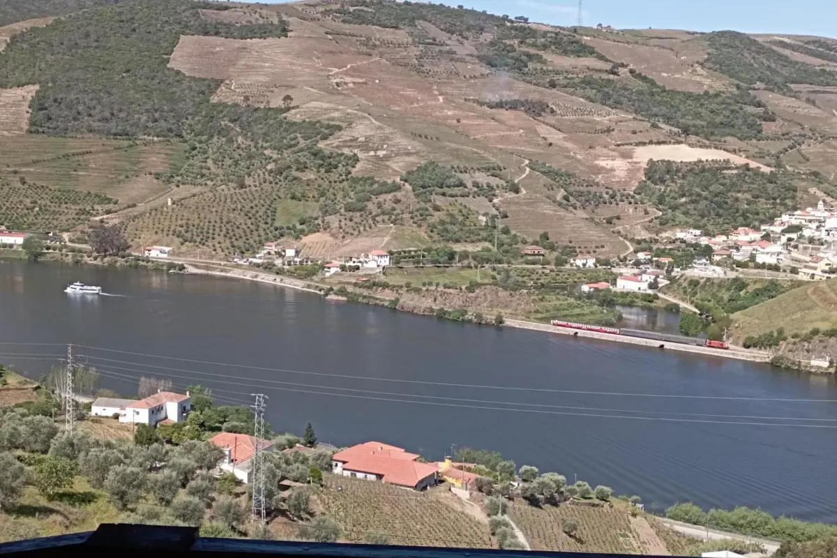 Discover the Tomás Barqueiro Bed And Breakfast: A Unique Experience in Hospitality - Imagem 32