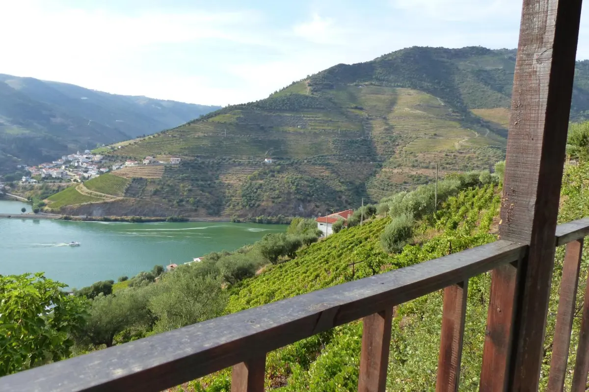 Discover the Tomás Barqueiro Bed And Breakfast: A Unique Experience in Hospitality - Imagem 49