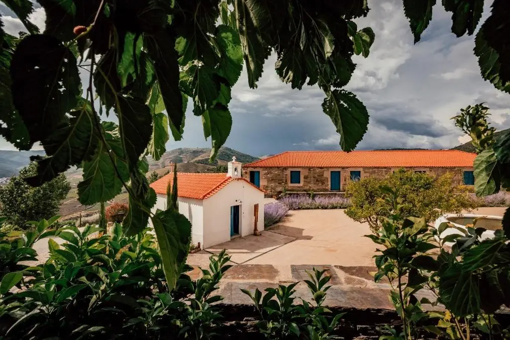Ventozelo Hotel & Quinta - Imagem 2