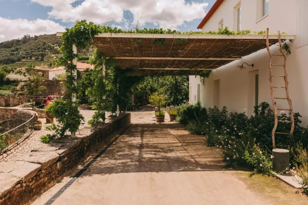 Ventozelo Hotel & Quinta - Imagem 3