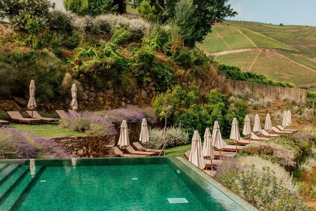 Ventozelo Hotel & Quinta - Imagem 4