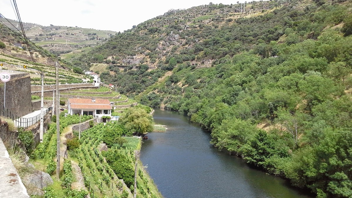 Sabrosa