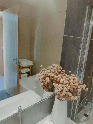 Douro Valley Terrace Apartments – photo 3
