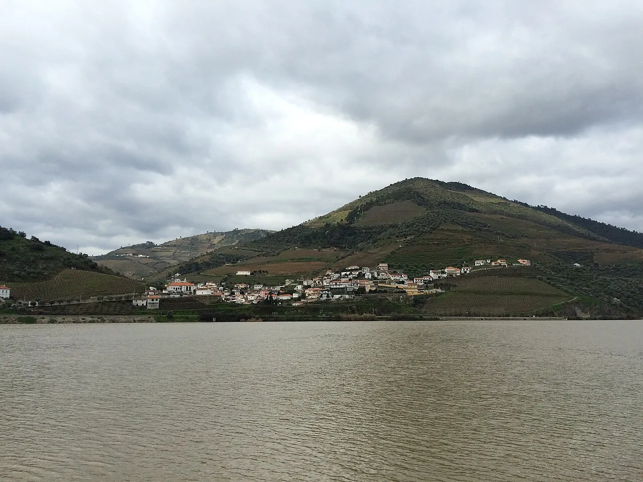 Vista para o Douro (Folgosa)