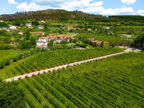 Lavandeira Douro Nature & Wellness – photo 3