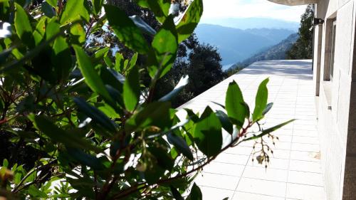 Casa Douro Terrace – photo 2